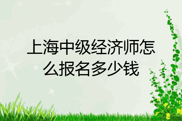 上海中级经济师怎么报名多少钱