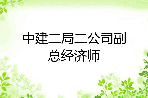 中建二局二公司副总经济师