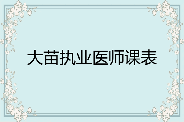 大苗执业医师课表