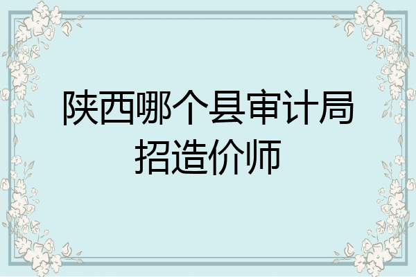 陕西哪个县审计局招造价师