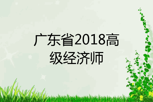 广东省2018高级经济师