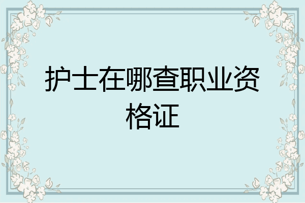 护士在哪查职业资格证