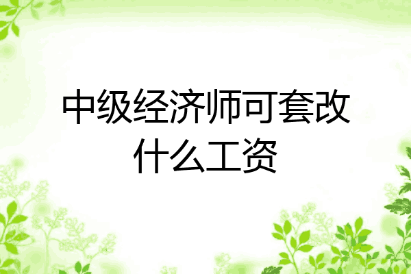 中级经济师可套改什么工资