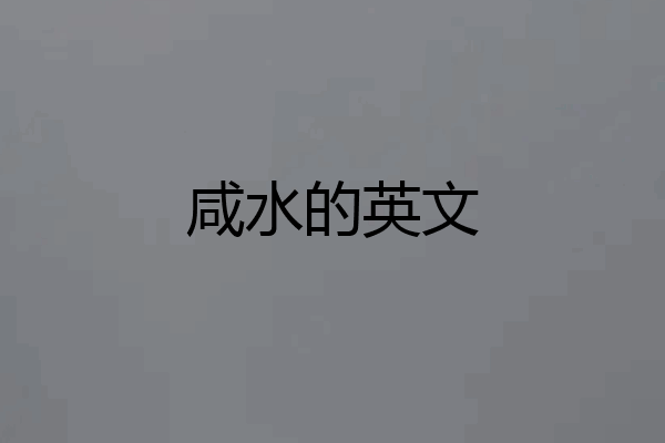 咸水的英文