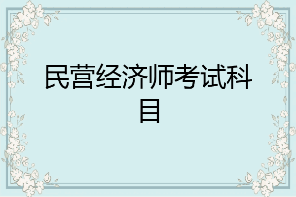 民营经济师考试科目
