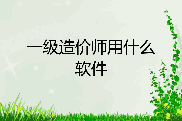 一级造价师用什么软件