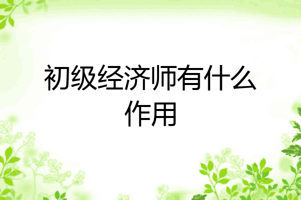 初级经济师有什么作用