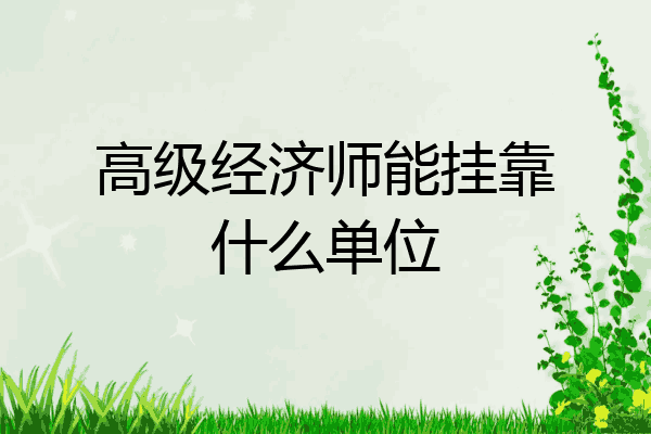 高级经济师能挂靠什么单位