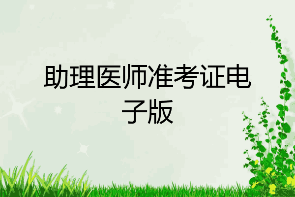 助理医师准考证电子版