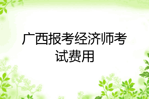 广西报考经济师考试费用