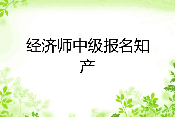 经济师中级报名知产