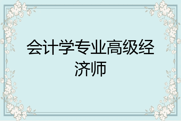 会计学专业高级经济师