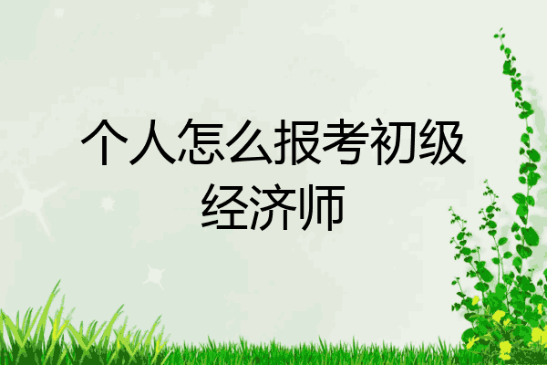 个人怎么报考初级经济师