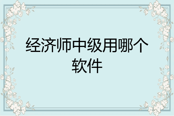 经济师中级用哪个软件
