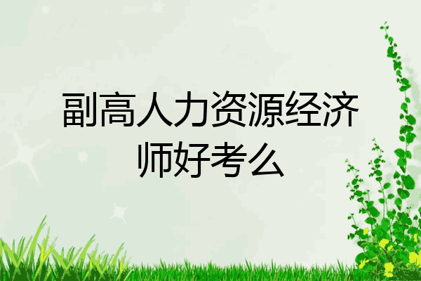 副高人力资源经济师好考么