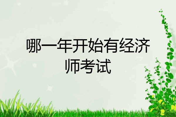 哪一年开始有经济师考试
