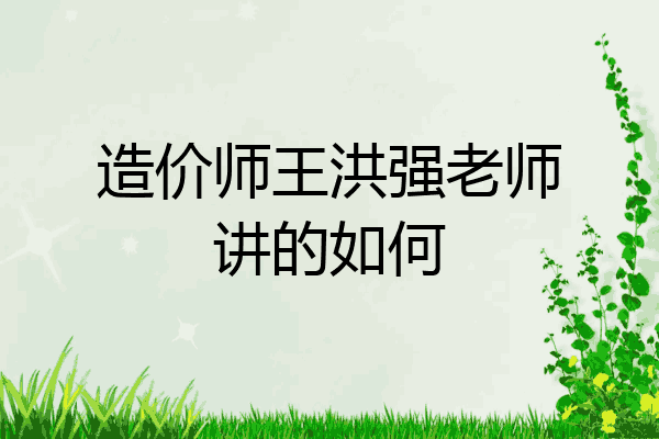 造价师王洪强老师讲的如何