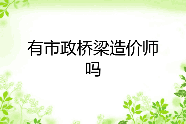 有市政桥梁造价师吗