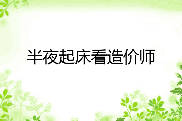 半夜起床看造价师