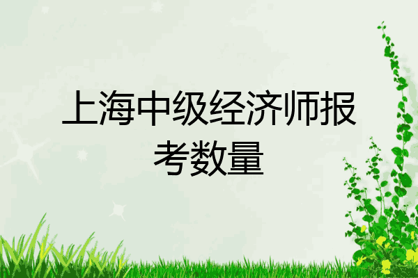 上海中级经济师报考数量