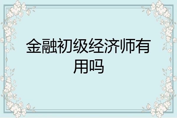 金融初级经济师有用吗