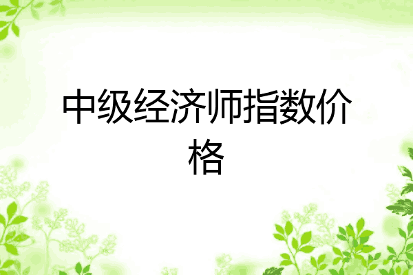 中级经济师指数价格