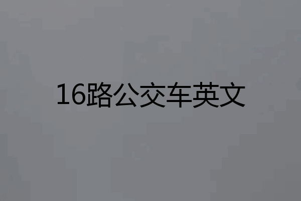 16路公交车英文