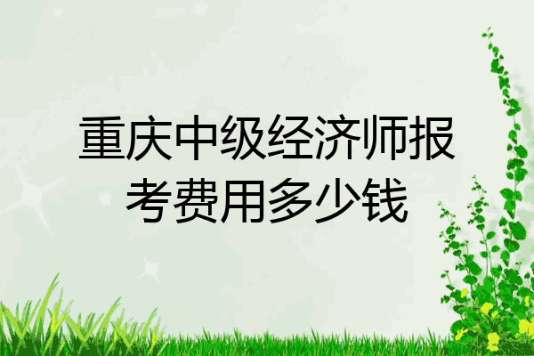 重庆中级经济师报考费用多少钱