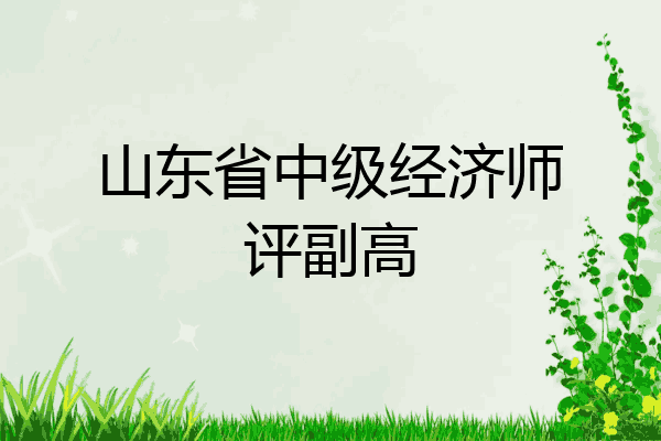 山东省中级经济师评副高