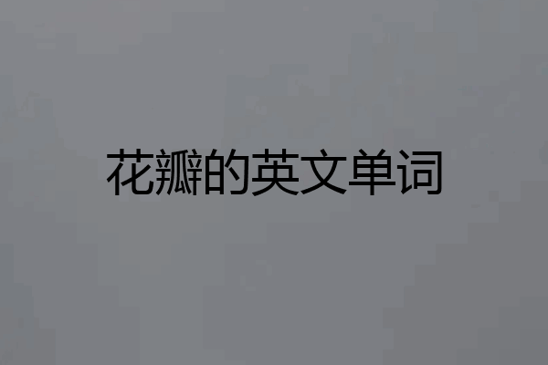 花瓣的英文单词