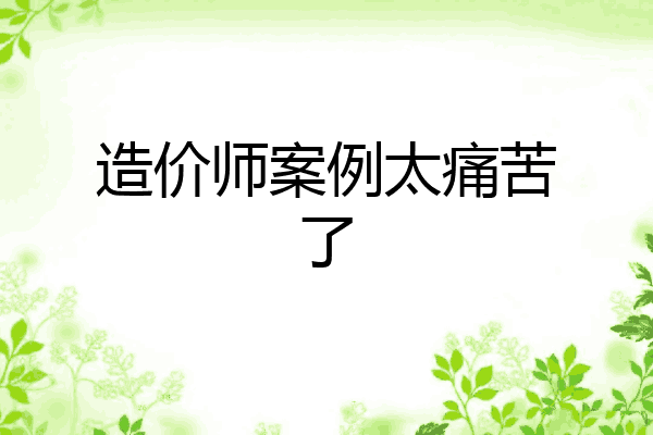 造价师案例太痛苦了