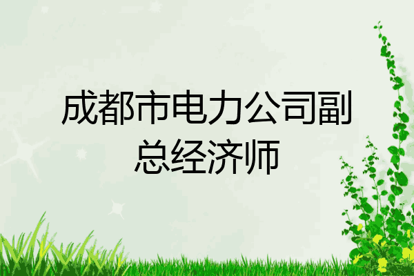 成都市电力公司副总经济师