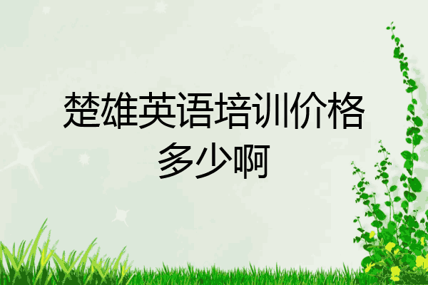 楚雄英语培训价格多少啊