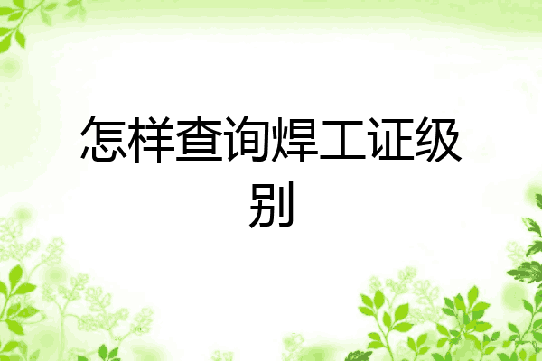 怎样查询焊工证级别