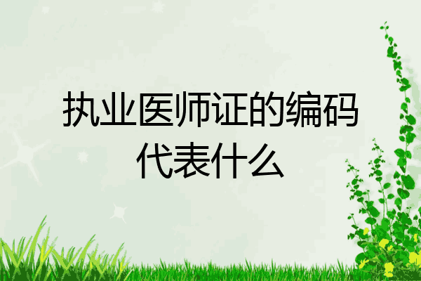 执业医师证的编码代表什么