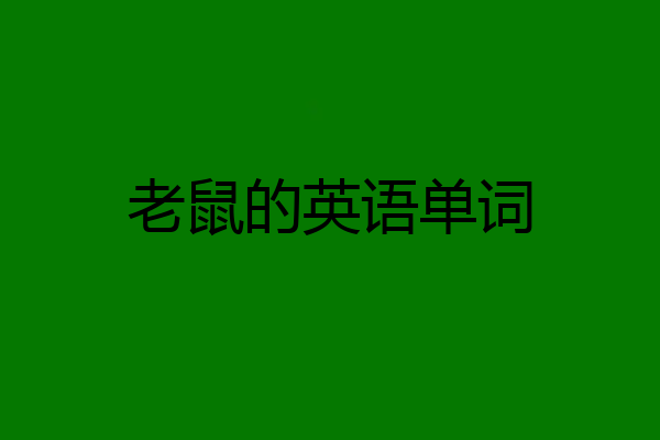 老鼠的英语单词