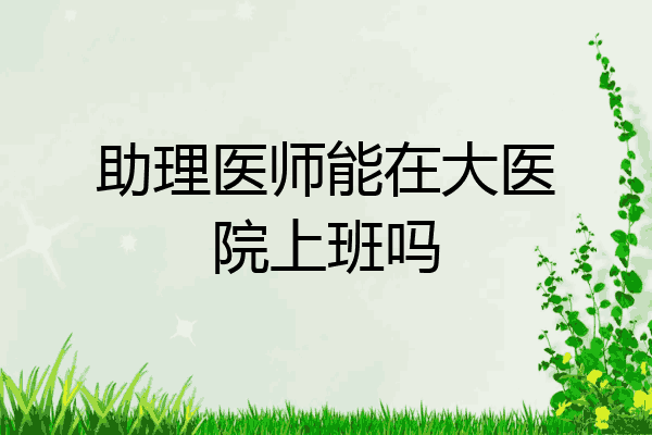 助理医师能在大医院上班吗