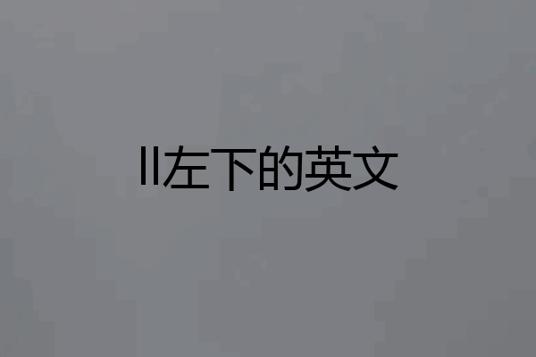 ll左下的英文