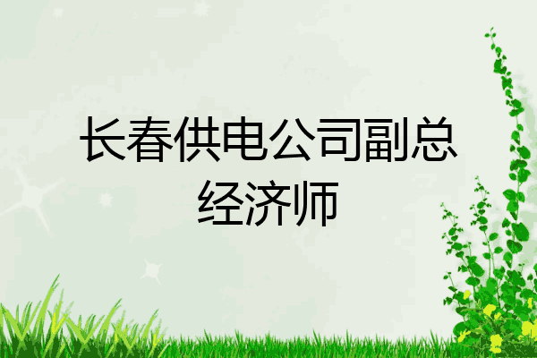 长春供电公司副总经济师