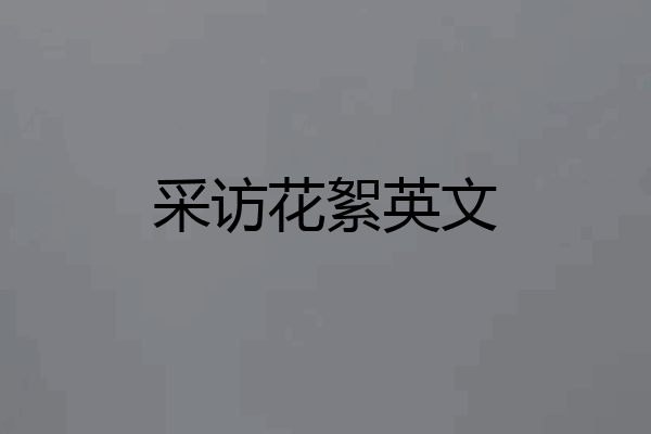 采访花絮英文