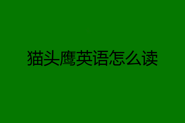 猫头鹰英语怎么读