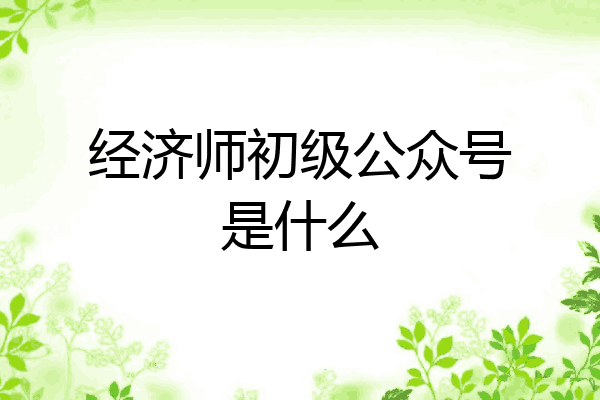 经济师初级公众号是什么