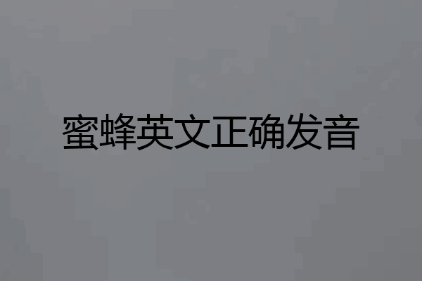 蜜蜂英文正确发音