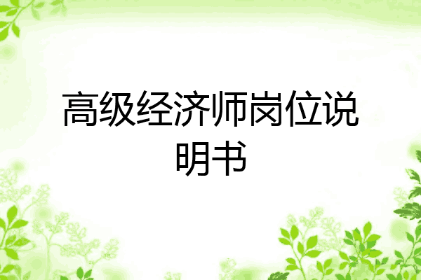 高级经济师岗位说明书