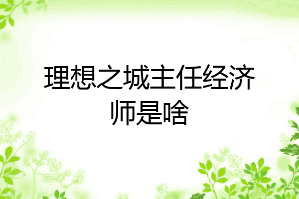 理想之城主任经济师是啥