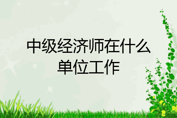 中级经济师在什么单位工作