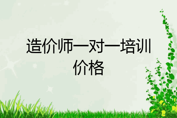 造价师一对一培训价格
