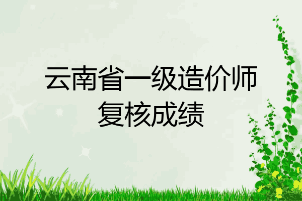 云南省一级造价师复核成绩