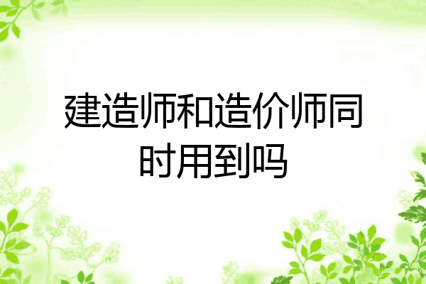 建造师和造价师同时用到吗
