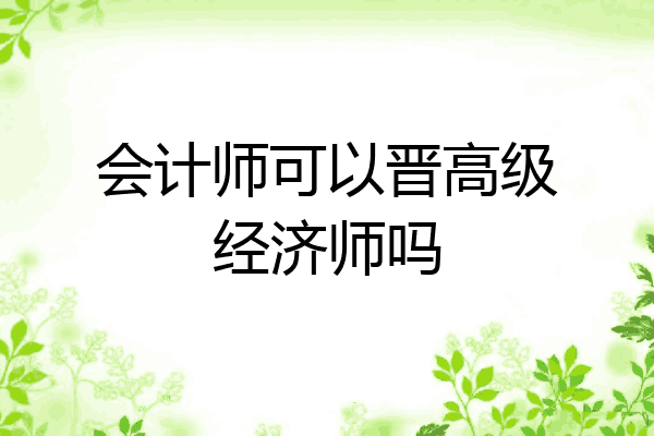 会计师可以晋高级经济师吗